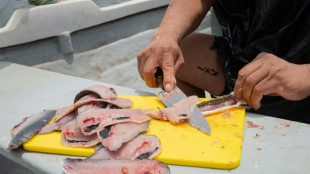 Ceviche e bolero aspiram a entrar no patrim&ocirc;nio imaterial da Unesco