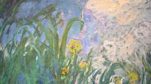 Monet's 'Iris' fetches 50 mn euros at Paris auction