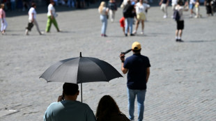 La vague de chaleur en Europe, "rappel brutal" du changement climatique (chef ONU Climat)