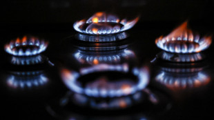 Tabarelli, per la guerra bollette gas +15%, elettricit&agrave; +10%