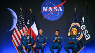 Un italiano y un estadounidense de ra&iacute;ces salvadore&ntilde;as, astronautas de Artemis III
