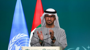 Brasil, Azerbaiy&aacute;n y Emiratos &Aacute;rabes anuncian alianza de presidencias de la COP