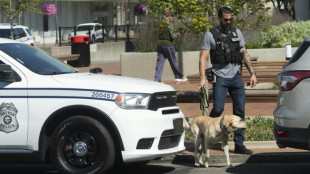Nach migrantenfeindlicher Verschw&ouml;rungserz&auml;hlung: 33 Bombendrohungen in Springfield